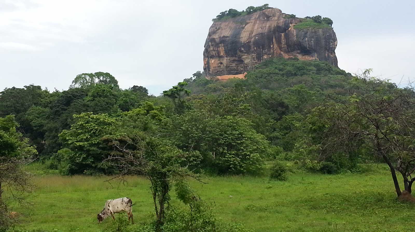 Sigiriya fortress in the northern Matale District. Photo: The Oakland Institute